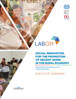 Social innovation for the promotion of decent work in the rural economy: implementation manual for labor initiatives