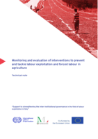Monitoring and evaluation of interventions to prevent and tackle labour exploitation and forced labour in agriculture: technical note