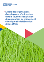 Le rôle des organisations d’employers et d’entreprises dans le soutien à l’adaptation des entreprises au changement climatique et à l’atténuation de ses effets