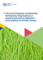 The role of employer and business membership organizations in supporting business adaptation and mitigation to climate change