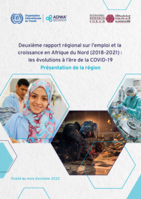 Deuxième rapport régional sur l’emploi et la croissance en Afrique du Nord (2018-2021): les évolutions à l’ère de la COVID-19. Présentation de la région