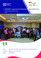 Factsheet: employment and reintegration in Nigeria project, implemented activities impact