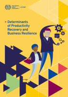 Determinants of productivity recovery and business resilience