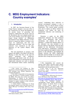 MDG employment indicators: country examples