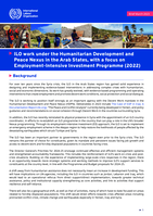 ILO work under the humanitarian development and peace nexus in the Arab States, with a focus on employment-intensive investment programme (2022)