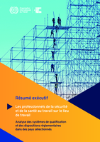 Les professionnels de la sécurité et de la santé au travail sur le lieu de travail$ $h [ressource électronique]: résumé exécutif