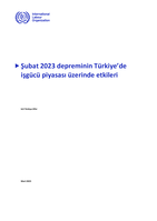 The effects of the February 2023 earthquake on the labour market in Türkiye