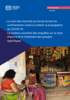 Le suivi des marchés du travail durant les confinements visant à contenir la propagation du COVID-19: le contenu essentiel des enquêtes sur la main d’œuvre et le traitement des groupes spécifiques