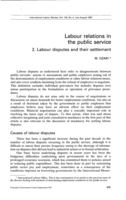 Labour relations in the public service: 2, Labour disputes and their settlement