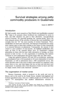 Survival strategies among petty commodity producers in Guatemala