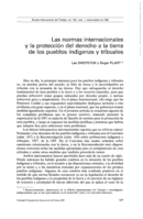 Las normas internacionales y la protección del derecho a la tierra de los pueblos indígenas y tribuales