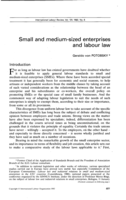Small and medium-sized enterprises and labour law