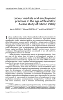 Labour markets and employment practices in the age of flexibility: a case study of Silicon Valley