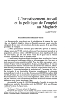 L'investissement-travail et la politique de l'emploi au Maghreb