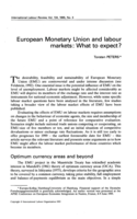 European Monetary Union and labour markets: what to expect?