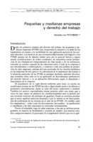 Pequeñas y medianas empresas y derecho del trabajo