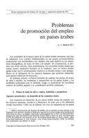 Problemas de promoción del empleo en países árabes