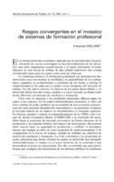 Rasgos convergentes en el mosaico de sistemas de formación profesional