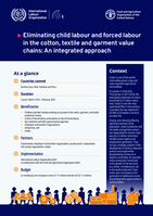 Eliminating child labour and forced labour in the cotton, textile and garment value chains: an integrated approach