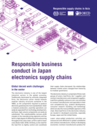 Responsible business conduct in Japan electronics supply chains