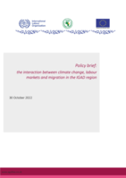 Policy brief: the interaction between climate change, labour markets and migration in the IGAD region