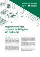 Responsible business conduct in the Philippines agri-food sector