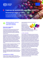Cadenas de suministro sostenibles para reconstruir mejor el futuro