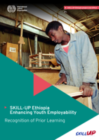 Enhancing youth employability: recognition of prior learning