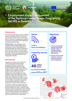 Employment impact assessment of the National Feeder Roads Programme (NFRP) in Rwanda