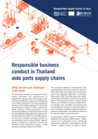 Responsible business conduct in Thailand auto parts supply chains