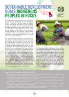 Sustainable development goals: indigenous peoples in focus