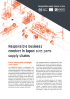 Responsible business conduct in Japan auto parts supply chains