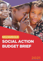 Mozambique: social action budget brief