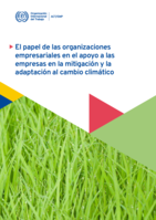 El papel de las organizaciones empresariales en el apoyo a las empresas en la mitigación y la adaptación al cambio climático