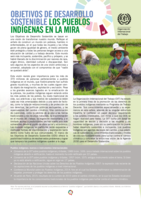 Objetivos de desarrollo sostenible: los pueblos indígenas en la mira