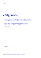 Current state of apprenticeships in Turkey: overview of relevant ILO instruments: brief note