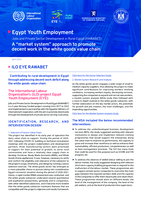 A “market system” approach to promote decent work in the white goods value chain