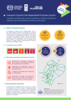 Expandir la protección social a hombres y mujeres jóvenes en situación de informalidad económica en Ecuador: evaluación conjunta final independiente programa conjunto : datos rápidos
