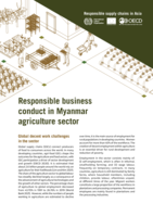 Responsible business conduct in Myanmar agriculture sector