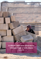 Livelihoods, employment and income for vulnerable people in North Lebanon: concept note