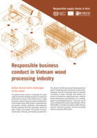 Responsible business conduct in Vietnam wood processing industry
