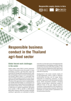 Responsible business conduct in the Thailand agri-food sector