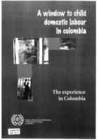 A window to child domestic labour in Colombia: the experience in Colombia