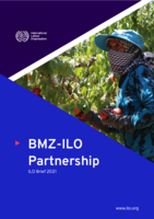 BMZ - ILO partnership