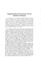 Organización del bienestar de los marinos noruegos