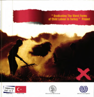 Eradicating the worst forms of child labour in Turkey project