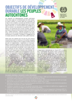 Objectifs de développement durable: les peuples autochtones