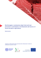 Monitoraggio e valutazione degli interventi per prevenire e contrastare lo sfruttamento del lavoro e il lavoro forzato in agricoltura: nota tecnica