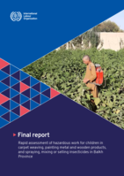Rapid assessment of hazardous work for children in carpet weaving, painting metal and wooden products, and spraying, mixing or selling insecticides in Balkh Province: final report