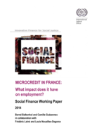 Microcredit in France: what impact does it have on employment?